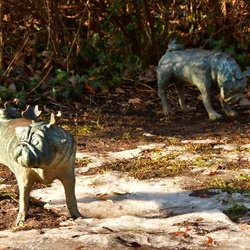 2026-01-08 Brandenburg an der Havel/Waldmöpse/DSC_2334.JPG